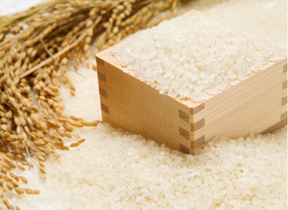 福井県産「いちほまれ」10㎏の写真