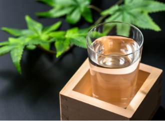 福井県地酒セットの写真