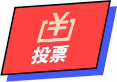 投票